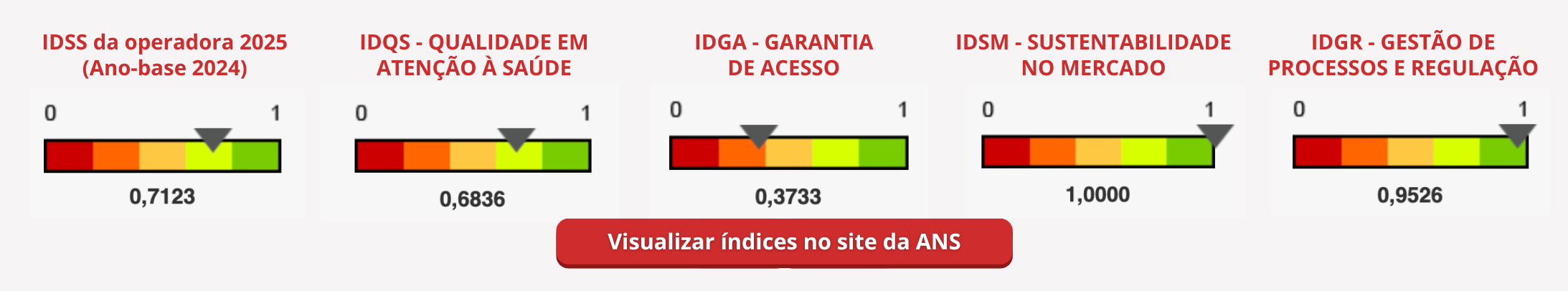 IDSS CAMPE Horizontal - Ano base 2024
